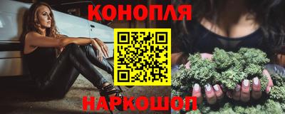 гидра Будённовск