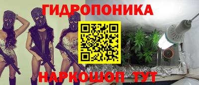 гидра Будённовск