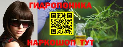 гидра Будённовск