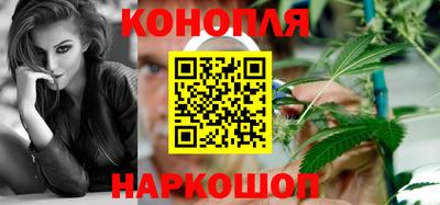 шишки Бузулук