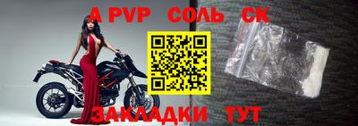 гидра Будённовск